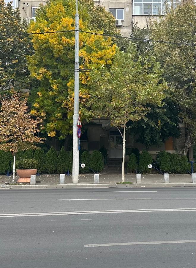 Park View - Netflix Bucarest